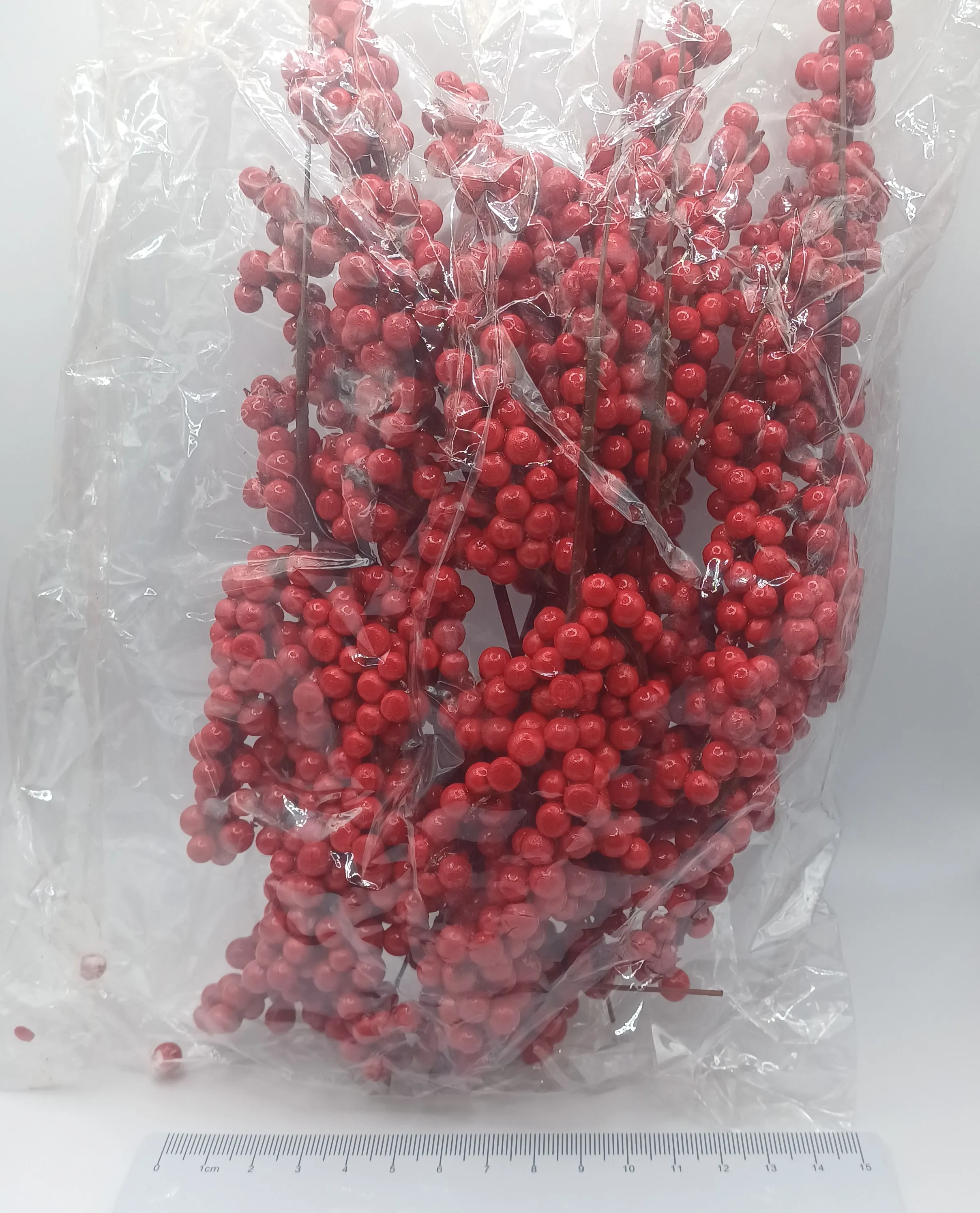 Branche baies rouges