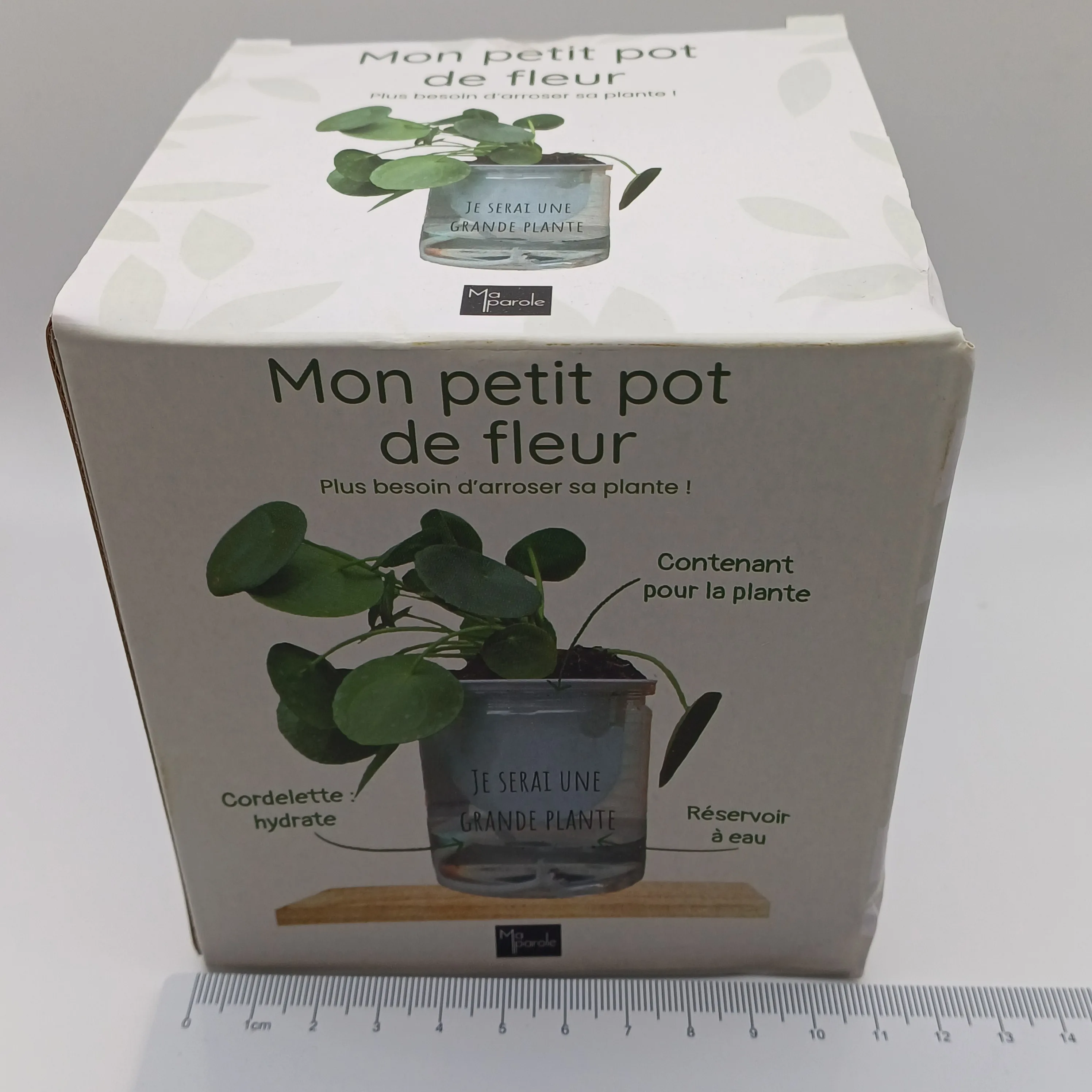 Mon petit pot de fleur